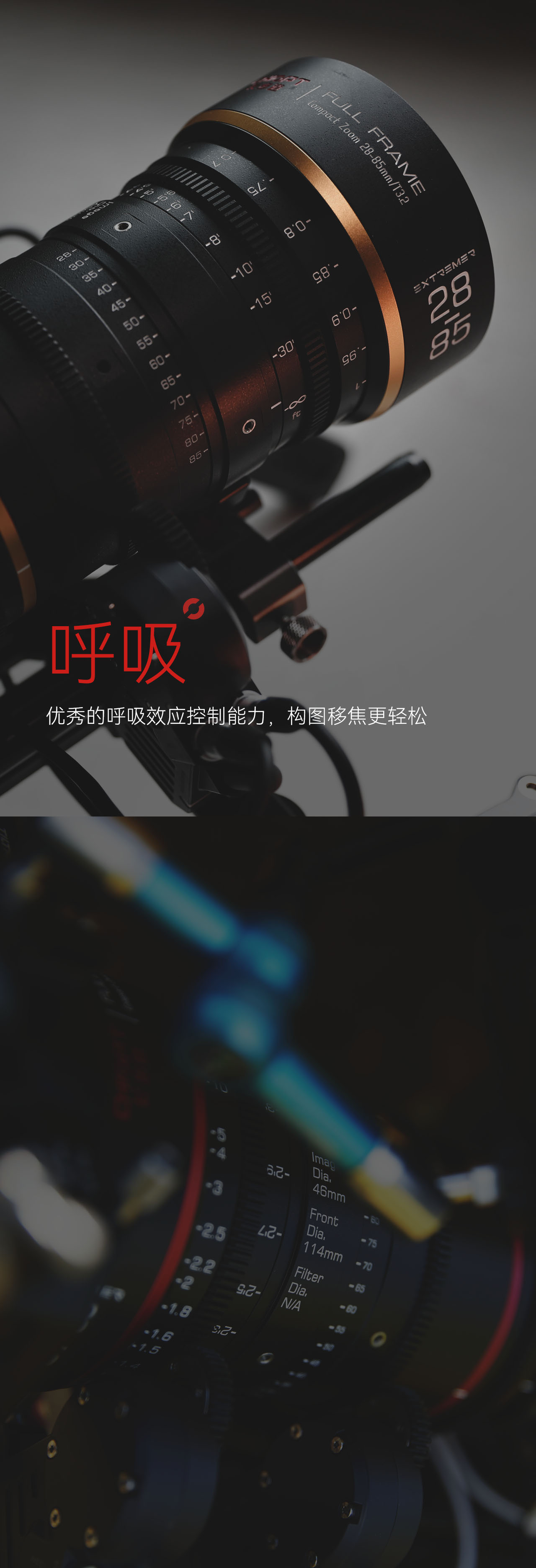 Artboard 1 copy 16.jpg