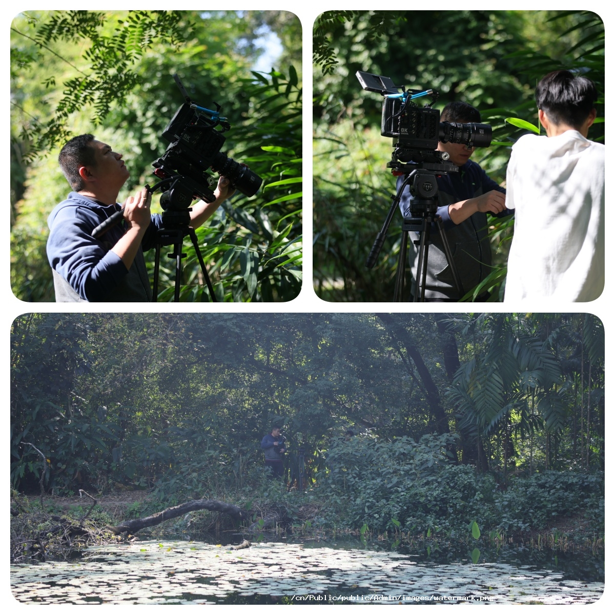 2025/11/13/1763022731172294.jpg 555.jpg